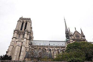 云豹娱乐股份有限公司宣布 NS版《好饿的谜姆》6月19日全世界同步上市！